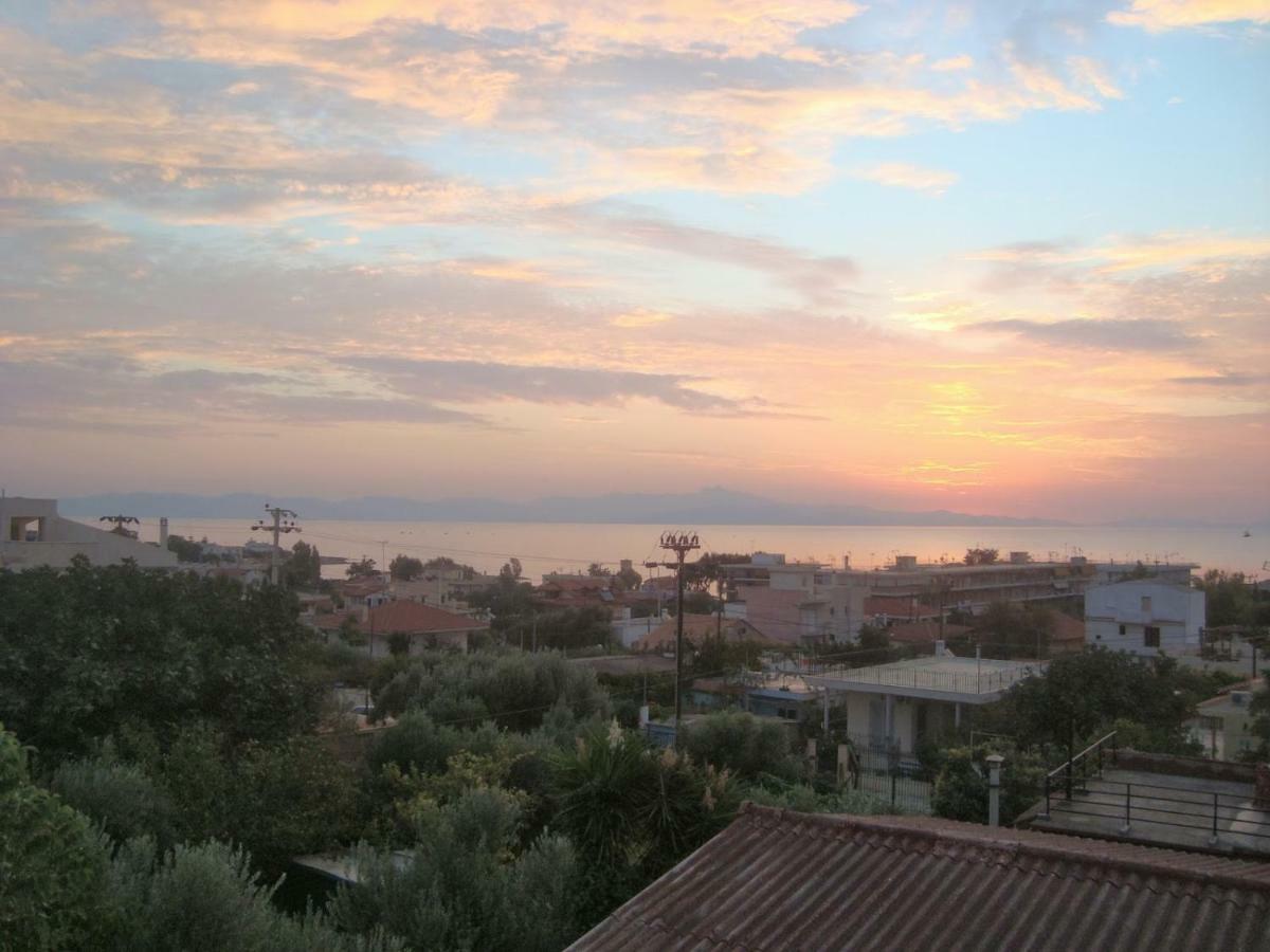 Smile House Near Athens Airport 300M From The Sea Villa อาร์เตมีดา ภายนอก รูปภาพ