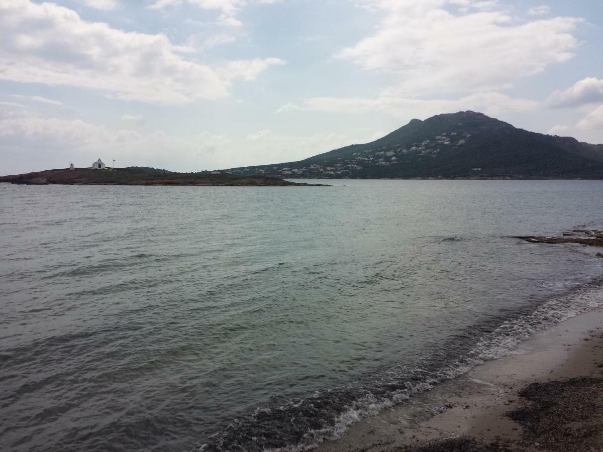 Smile House Near Athens Airport 300M From The Sea Villa อาร์เตมีดา ภายนอก รูปภาพ