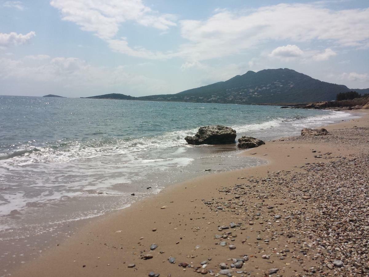 Smile House Near Athens Airport 300M From The Sea Villa อาร์เตมีดา ภายนอก รูปภาพ