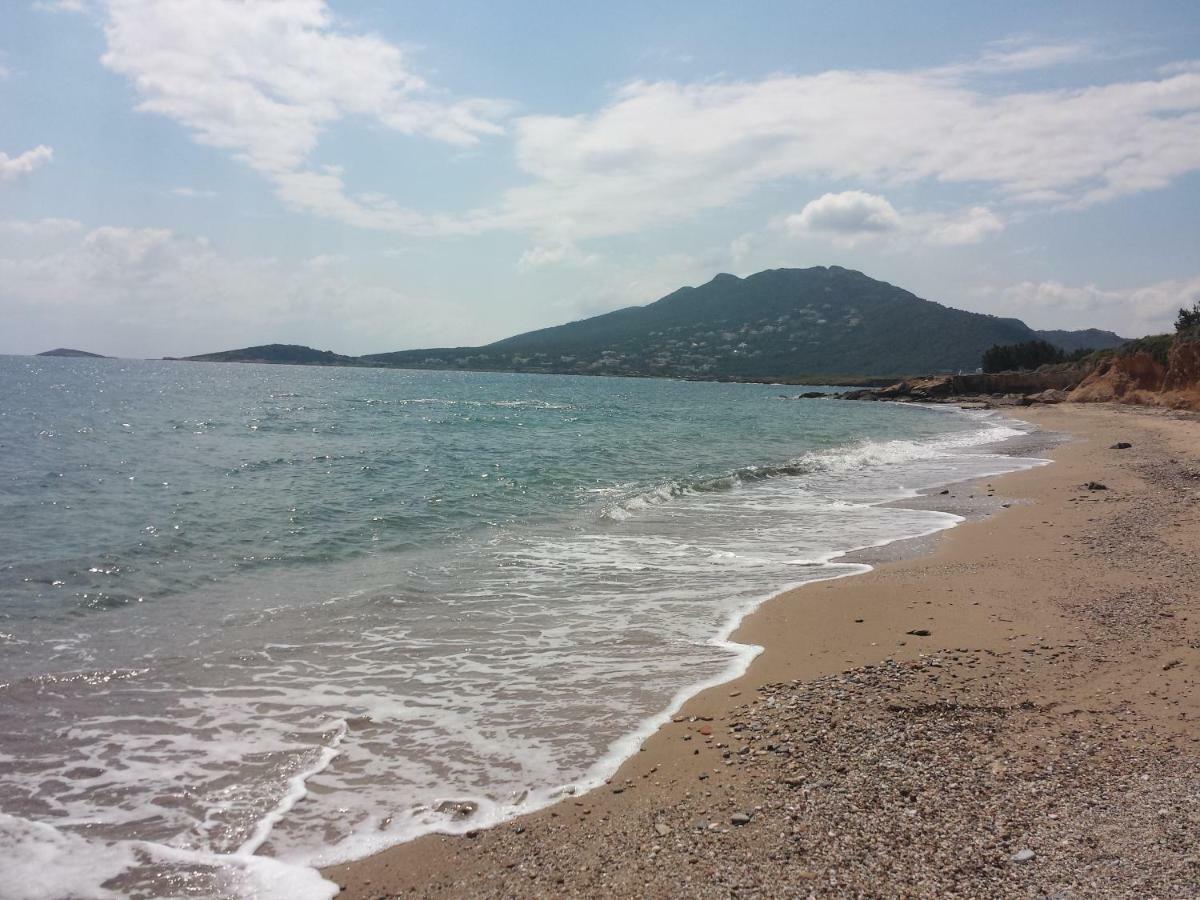 Smile House Near Athens Airport 300M From The Sea Villa อาร์เตมีดา ภายนอก รูปภาพ