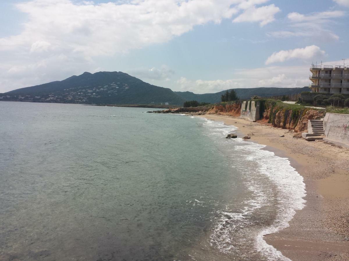 Smile House Near Athens Airport 300M From The Sea Villa อาร์เตมีดา ภายนอก รูปภาพ