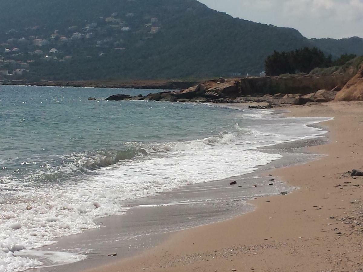 Smile House Near Athens Airport 300M From The Sea Villa อาร์เตมีดา ภายนอก รูปภาพ